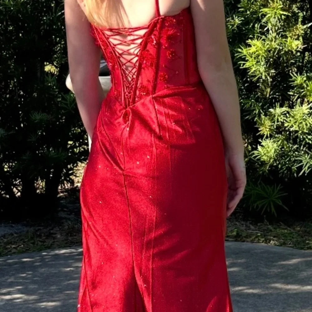 Gorgeous Prom Dress - Picture 3 of 4